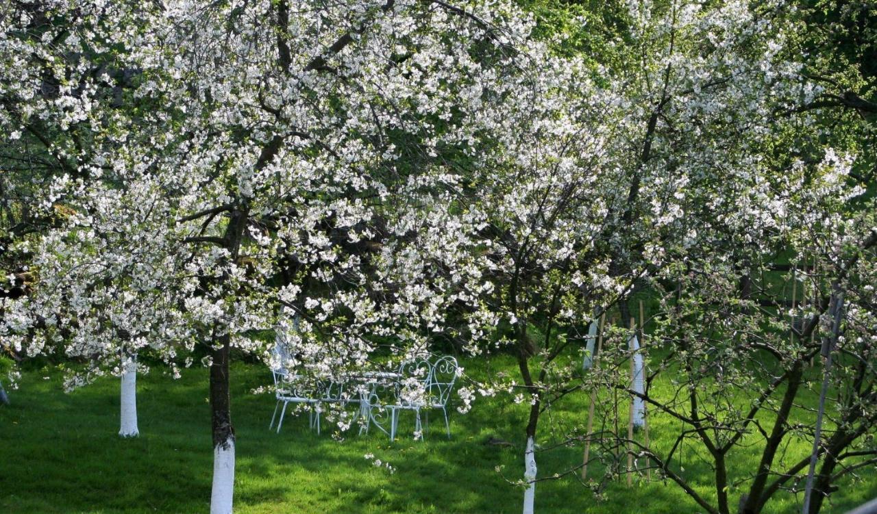 Lavendowo Piechowice (Karkonosze) Exterior foto