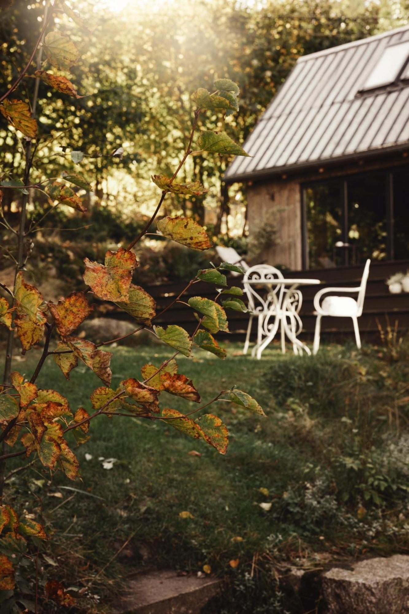 Lavendowo Piechowice (Karkonosze) Exterior foto